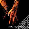 Thirteenth Exile - Assorted Chaos And Broken Machinery cd