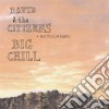 David & The Citizens - Big Chill cd