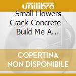Small Flowers Crack Concrete - Build Me A Brand New Sky cd