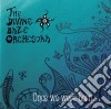 Divine Baze Orchestra - Once We Were Born cd