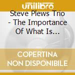 Steve Plews Trio - The Importance Of What Is Not cd musicale di Steve Plews Trio