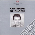 Neidhofer Christoph - Schichtung (1993)