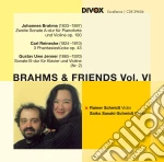 Johannes Brahms - Brahms & His Friends Vol.6 cd