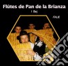 I Bej - Flutes De Pan De La Brianza cd
