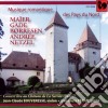 Musique Romantique Des Pays Du Nord: Maier, Gade, Borresen, Andree, Netzel cd