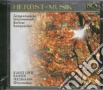 Klaus Feldmann / Rainer Feldmann - Klaus Feldmann & Rainer Feldmann: Herbst-Musik cd