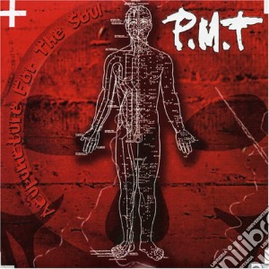 Pmt - Accupuncture For The Soul cd musicale di Pmt