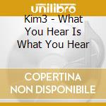 Kim3 - What You Hear Is What You Hear cd