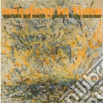 Wadada Leo Smith / Gunter Baby Sommer - Wisdom In Time cd