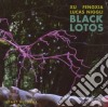 Xu Fengxia / Lucas Niggli - Black Lotus cd