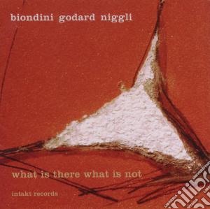 Luciano Biondini / Michel Godard / Lucas Niggli - What Is There What Is Not cd musicale di Biondini/godard/nigg