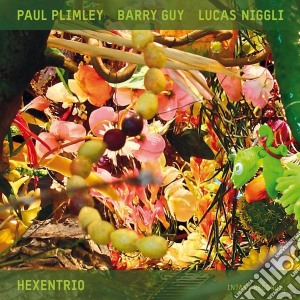 Paul Plimley & Barry Guy & Lucas Niggli - Hexentrio cd musicale di Plimley paul-guy b