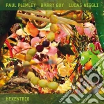 Paul Plimley & Barry Guy & Lucas Niggli - Hexentrio cd