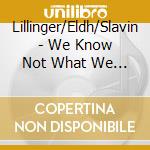 Lillinger/Eldh/Slavin - We Know Not What We Do cd