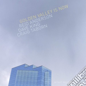 Reid Anderson / Dave King / Craig Taborn - Golden Valley Is Now cd musicale