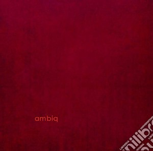 (LP Vinile) Max Loderbauer / Claudio Puntin & Samuel Rohrer - Ambiq (180gr) lp vinile di Max Loderbauer/ Claudio Puntin & Samuel Rohrer