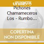 Pichones Chamameceros Los - Rumbo Al Futuro cd