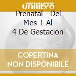 Prenatal - Del Mes 1 Al 4 De Gestacion cd