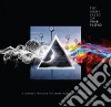 Many Faces Of Pink Floyd (The): (A Journey Through The Inner World Of Pink Floyd) / Various (3 Cd) cd