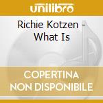 Richie Kotzen - What Is cd musicale di Richie Kotzen