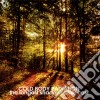 (LP Vinile) Cold Body Radiation - The Longest Shadows Ever Cast (7') cd
