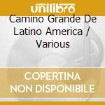 Camino Grande De Latino America / Various cd musicale