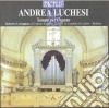 Andrea Luchesi - Opere Per Organo cd