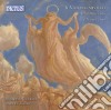 Violino Mistico Tra ottocento E Novecento (The Mystical Violin Between The 19Th/20Th Century) cd