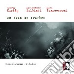 Brin De Bruyere / Various (Un)