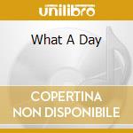 What A Day cd