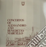 (LP Vinile) Benedetto Marcello / Alessandro Marcello - Concertos - Concerti Op.1 N.6, Op.1 N.1- Stegenga Jan vinile