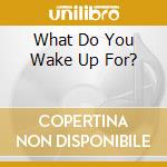 What Do You Wake Up For? cd musicale di CHIMNEY-SWEEPER