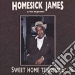 Homesick James & The Hypnotics - Sweet Home Tennessee