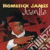 Homesick James - Juanita cd musicale di HOMESICK JAMES