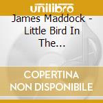 James Maddock - Little Bird In The Neighbourhood cd