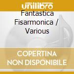 Fantastica Fisarmonica / Various