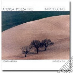 Andrea Pozzato Trio - Introducing cd musicale di Andrea Pozzato Trio