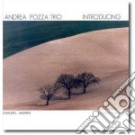 Andrea Pozzato Trio - Introducing