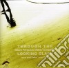 Mauro Perigozzo/matteo Scarpettini - Through The Looking Glass cd