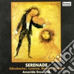 Brazzo Francesco / Demetz Eduard - Sonata A 4 (x Fl, Vl, Vla E Chit) - serenade- Amarida Ensemble