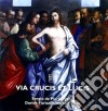 De Pieri & Furlan - Via Crucis Et Lucis- De Pieri SergioOrg/davide Furlan Musica Elettronica cd