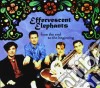Effervescent Elephants (The) - From The End To The Beginning cd