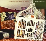 Misachenevica - Come Pecore In Mezzo Ai Lupi cd
