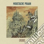 Moustache Prawn - Erebus