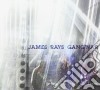 James Rays Gangwar - Before And After The Storm cd
