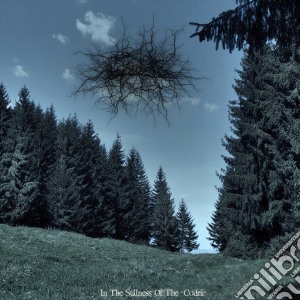 Basarabian Hill - In The Stillness Of The Codrii cd musicale di Basarabian Hill