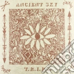 (LP VINILE) T.r.i.p.s. - black vinyl cd