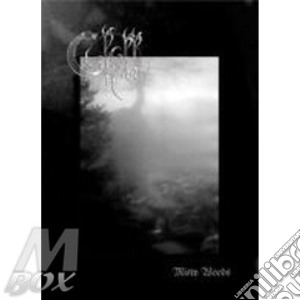 Misty woods cd musicale di SKOLL