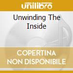 Unwinding The Inside cd musicale di DENSE VISION SHRINE