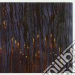 Synapscape / Asche - Scenes From A Galton's Walk cd
